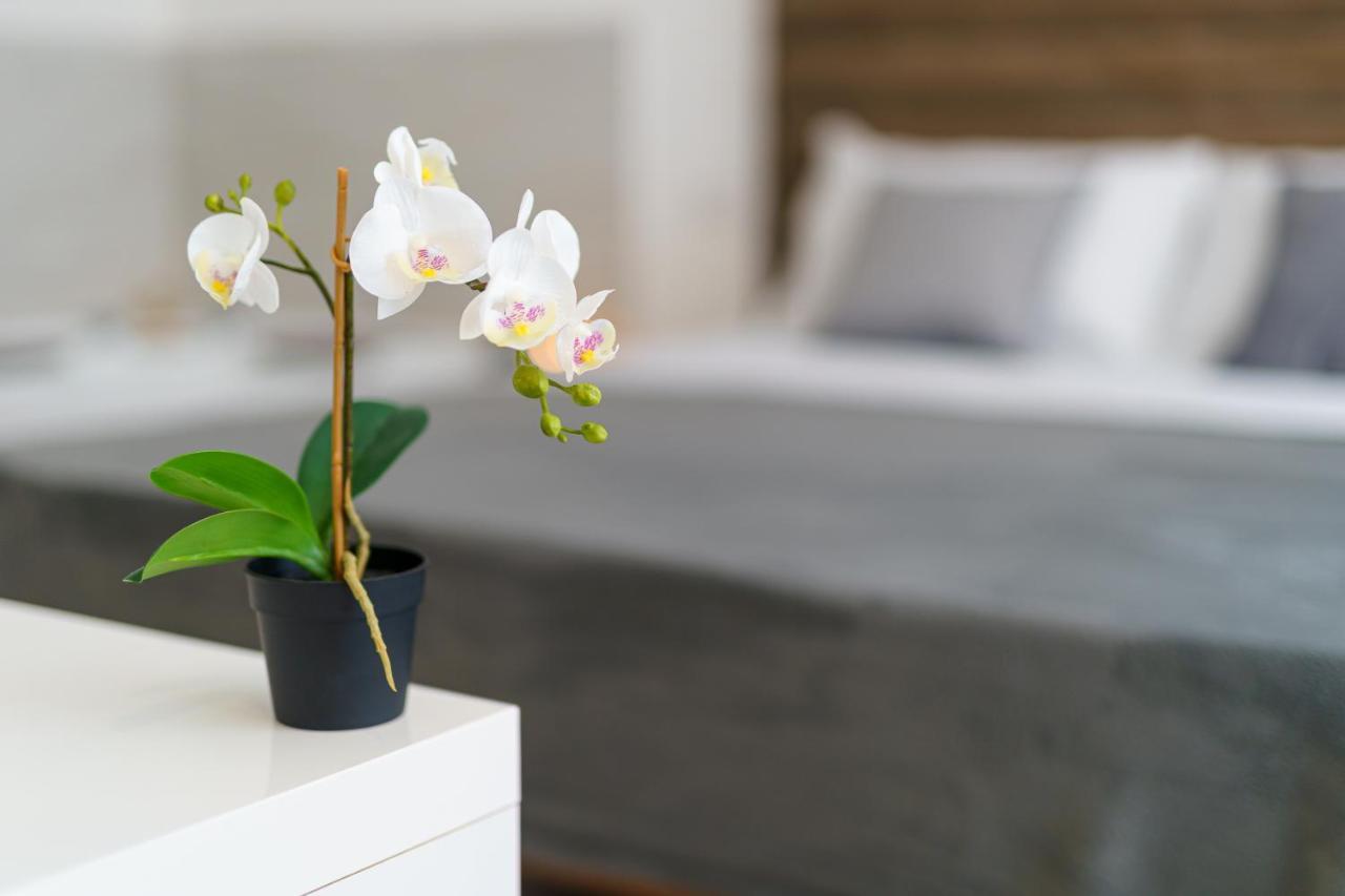 Atena Rooms カリアリ エクステリア 写真